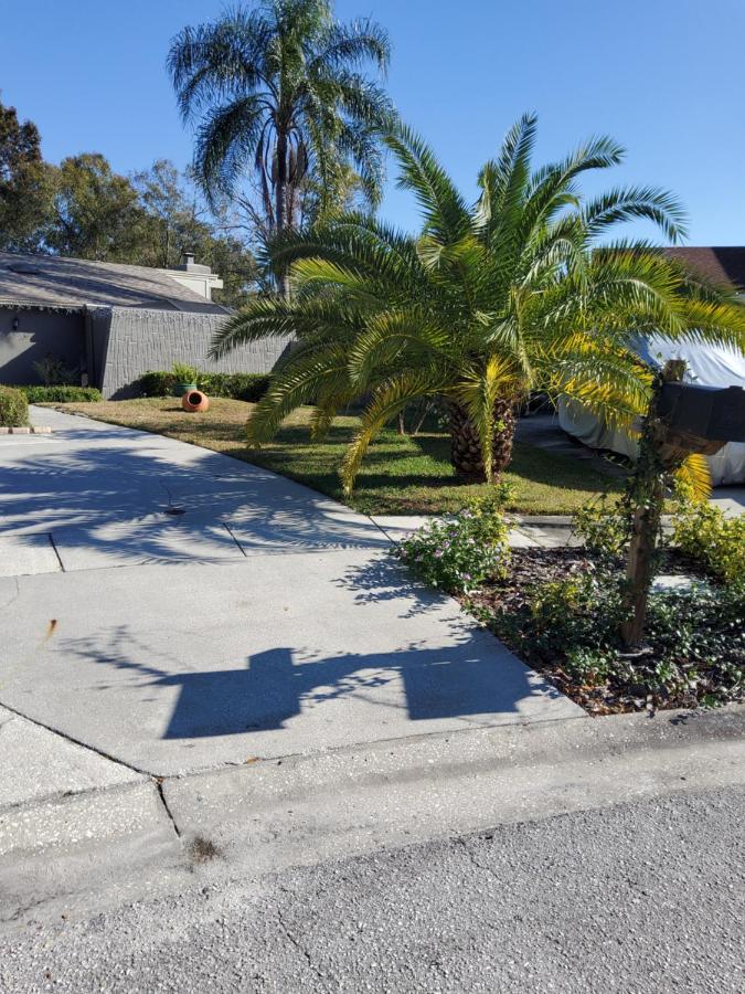 Beautiful Apartment Close To Everything Tampa Exterior foto