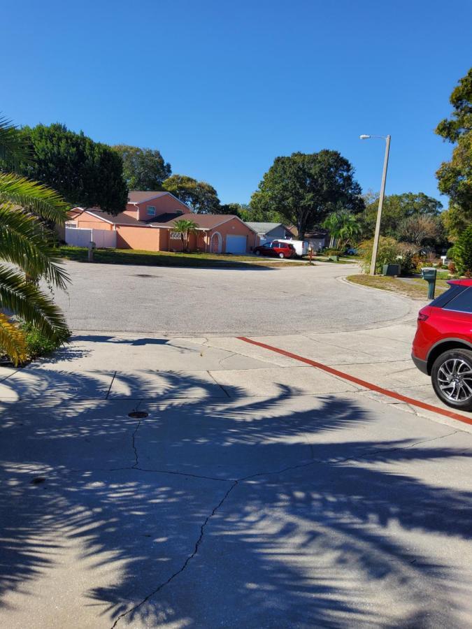 Beautiful Apartment Close To Everything Tampa Exterior foto