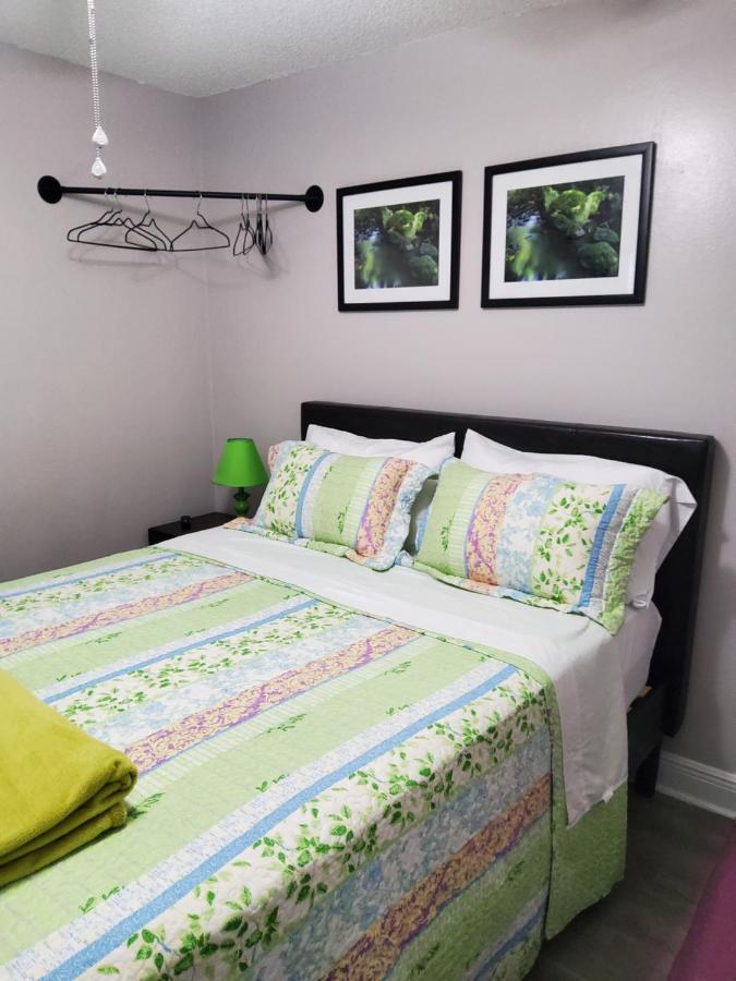 Beautiful Apartment Close To Everything Tampa Exterior foto